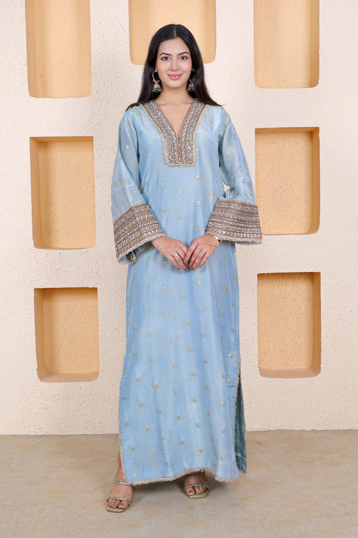 Example Product 3 - Powder blue embroidered kurta